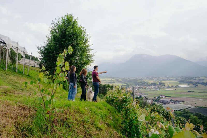 Trentino Agriconda: AgriBreak: an authentic snack surrounded by nature - An Overview of Agriconda’s AgriBreak