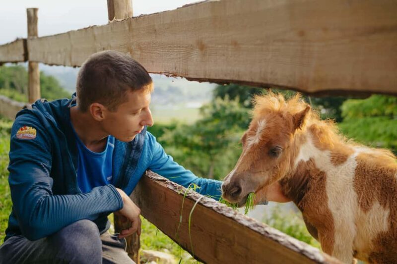 Trentino Agriconda: AgriBreak: an authentic snack surrounded by nature - The Farm and Its Philosophy