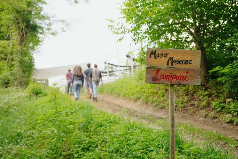 Trentino Agriconda: frutTIAMO...Explore, Learn, Taste Small Fruits - Key Points