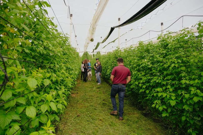 Trentino Agriconda: frutTIAMO...Explore, Learn, Taste Small Fruits - A Closer Look at the Agriconda frutTIAMO Tour