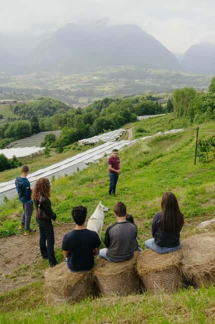 Trentino Agriconda: frutTIAMO...Explore, Learn, Taste Small Fruits - FAQ
