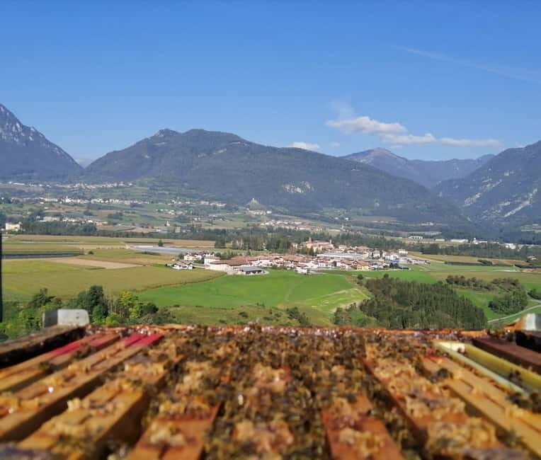 Trentino Agriconda: The adventure of the queen bee. We will explore the beehives. - Practical Details