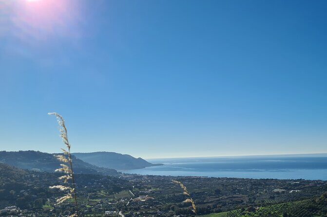 Tresino Hike - Cilento National Park coast - A Deep Dive into the Tresino Hike Experience