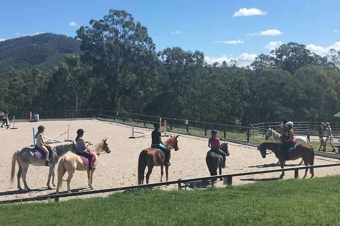 Trevena Glen 1hr Animal Tour - Downsides and Considerations