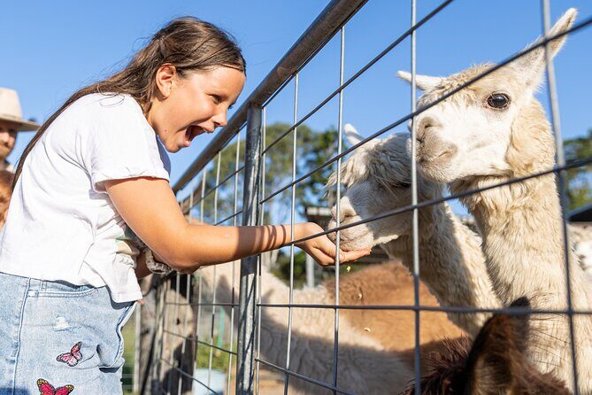 Trevena Glen Farm Animal Experience - Key Points