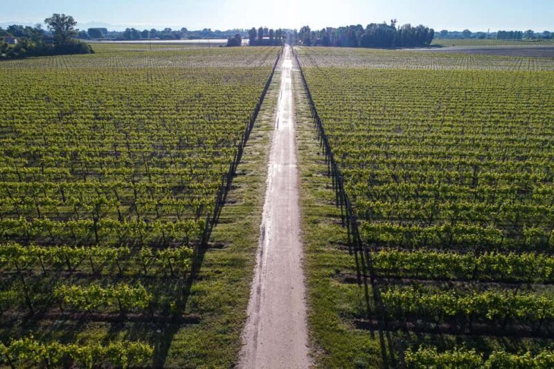 Treviso neighborhood: Tenute Tomasella/Wine Experience - Exploring the Treviso Neighborhood: A Deep Dive into Tenute Tomasella’s Wine Experience