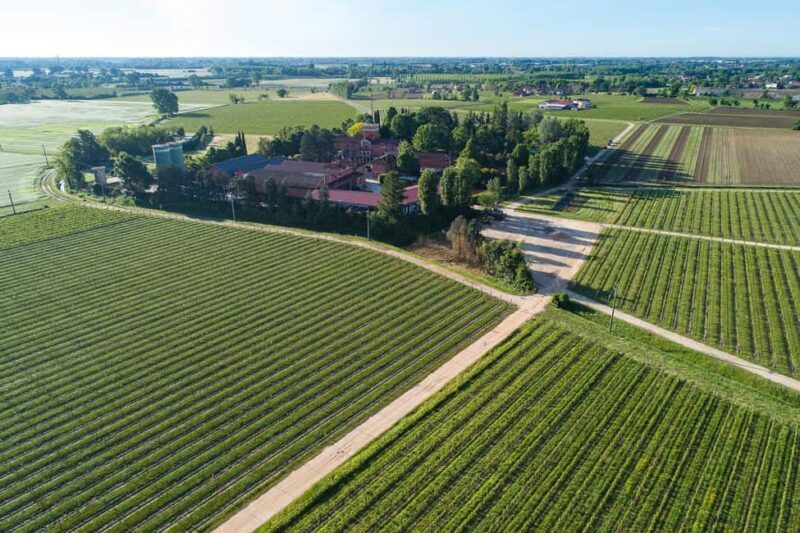 Treviso neighborhood: Tenute Tomasella/Wine Experience - An In-Depth Look at the Experience