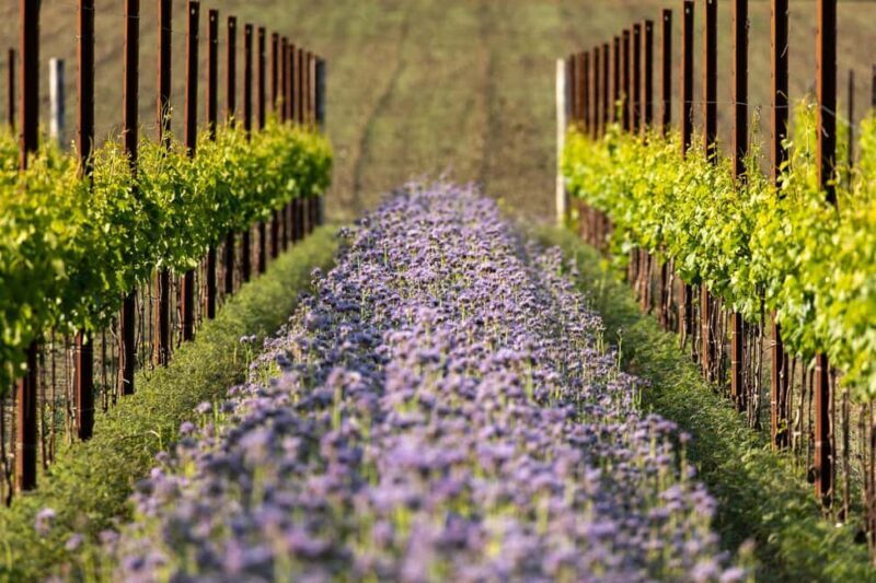 Treviso neighborhood: Tenute Tomasella/Wine Experience - Final Thoughts