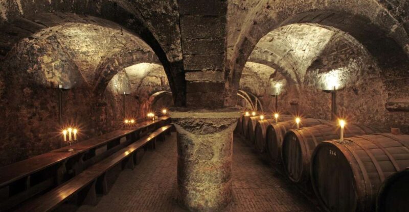 Trier: Discovery tour - Germany's oldest wine cellar - What to expect during the tour