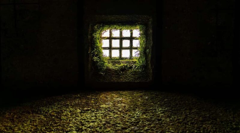 Trier: On imperial trails - Underworld tour - Final Thoughts