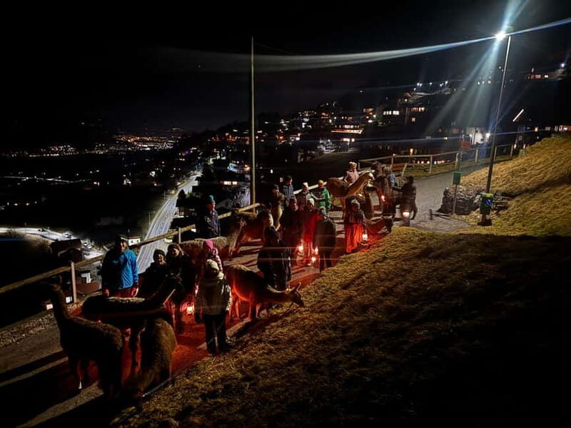 Triesenberg: Llama hike with a delicious BBQ in the middle of the forest - Key Points