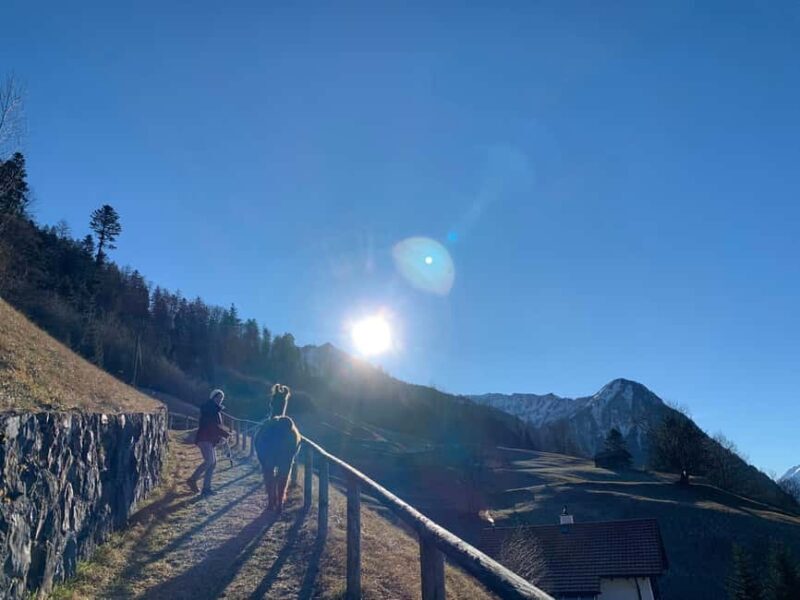 Triesenberg: Llama hike with a delicious BBQ in the middle of the forest - An Authentic Llama Adventure in Triesenberg