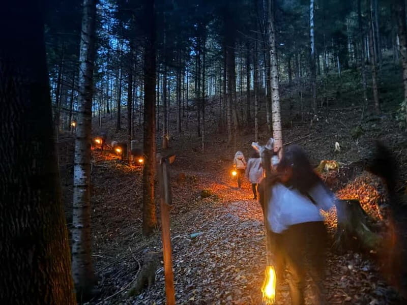 Triesenberg: Llama hike with a delicious BBQ in the middle of the forest - Who Will Love This Tour?