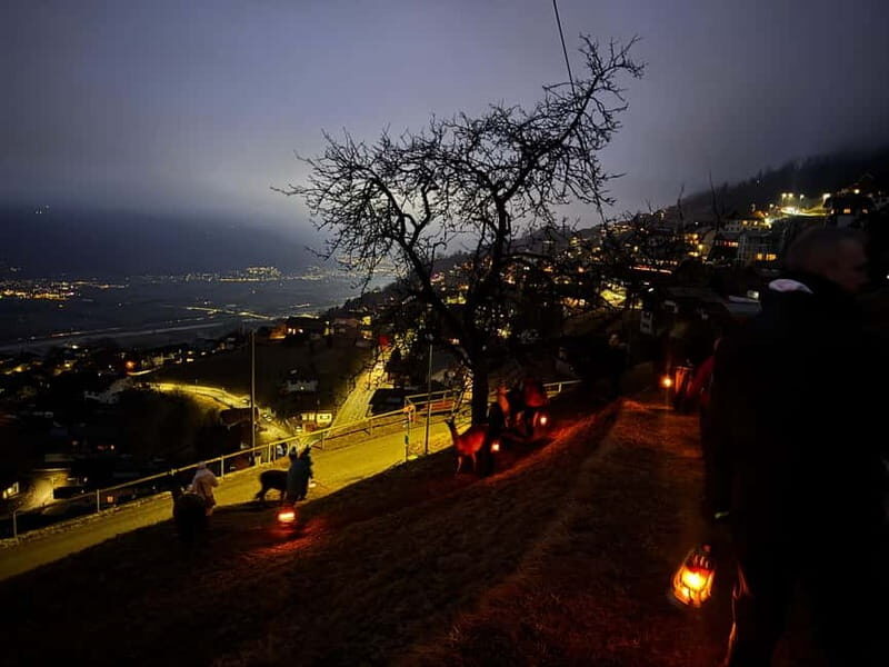 Triesenberg: Private hike with our llamas - A Closer Look at the Experience