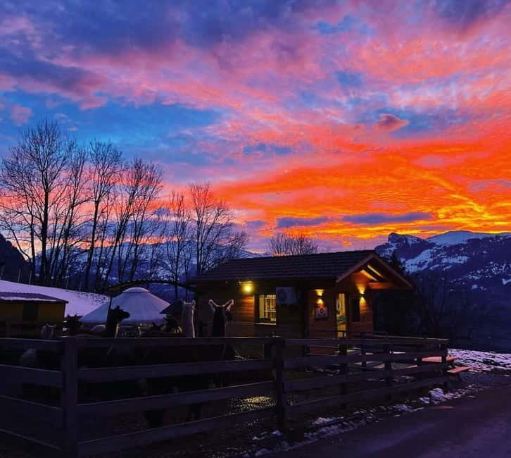 Triesenberg: Walk with Llamas in the Mountains - The Sum Up