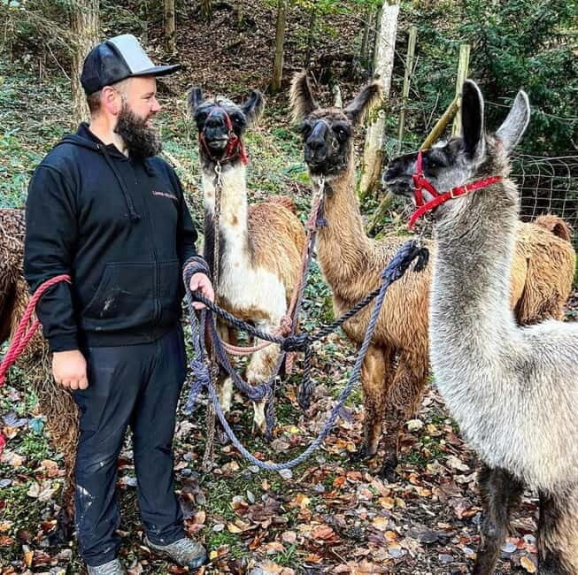 Triesenberg: Walking Tour with Llamas and Cheese Raclette - FAQ