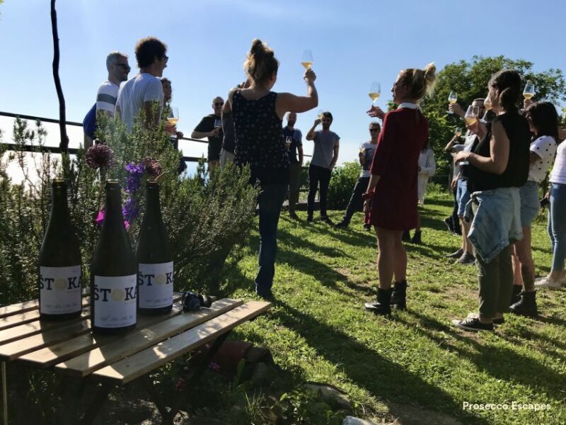 Trieste: 2.5-Hour Prosecco Origins Tour and Tastings - The Itinerary: A Closer Look