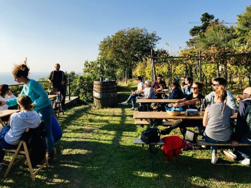 Trieste: 2.5-Hour Prosecco Origins Tour and Tastings - Final Thoughts