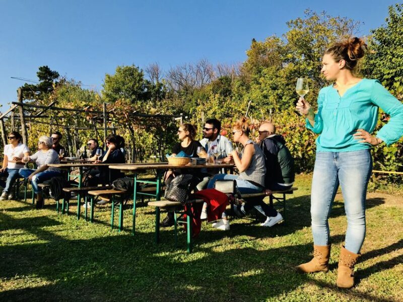 Trieste: 2.5-Hour Prosecco Origins Tour and Tastings - FAQ