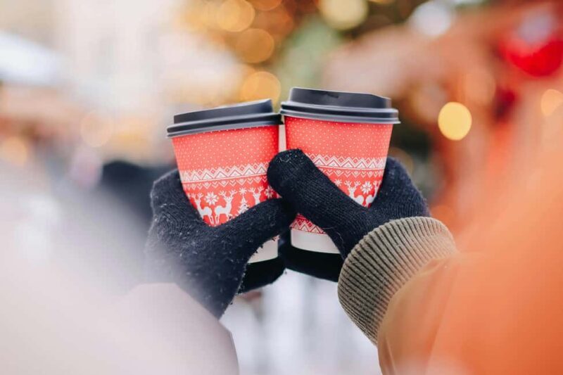 Trieste: Ljubljana Christmas Market Tour - Introduction