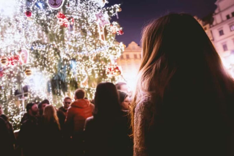 Trieste: Ljubljana Christmas Market Tour - Key Points
