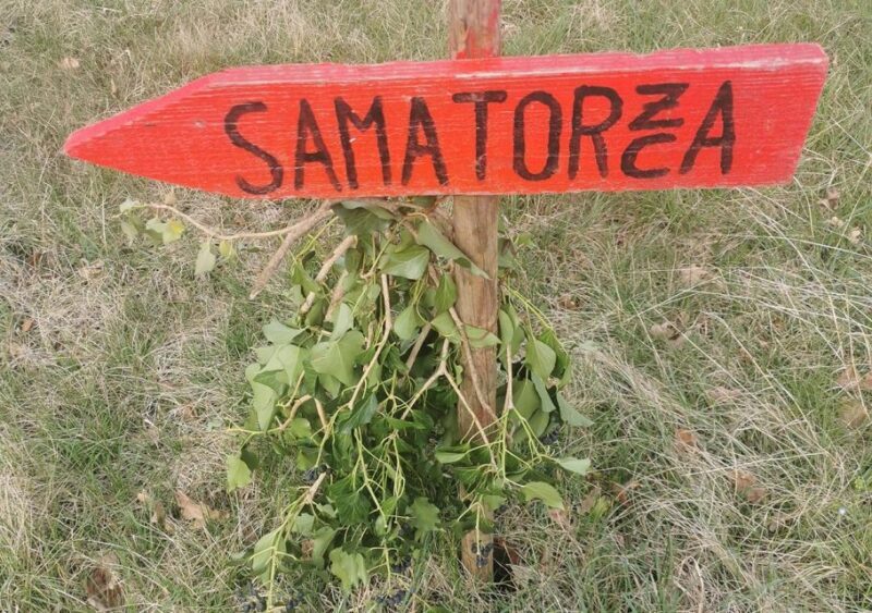 Trieste: Osmiza in the city - Final Thoughts: Is This Experience Right for You?