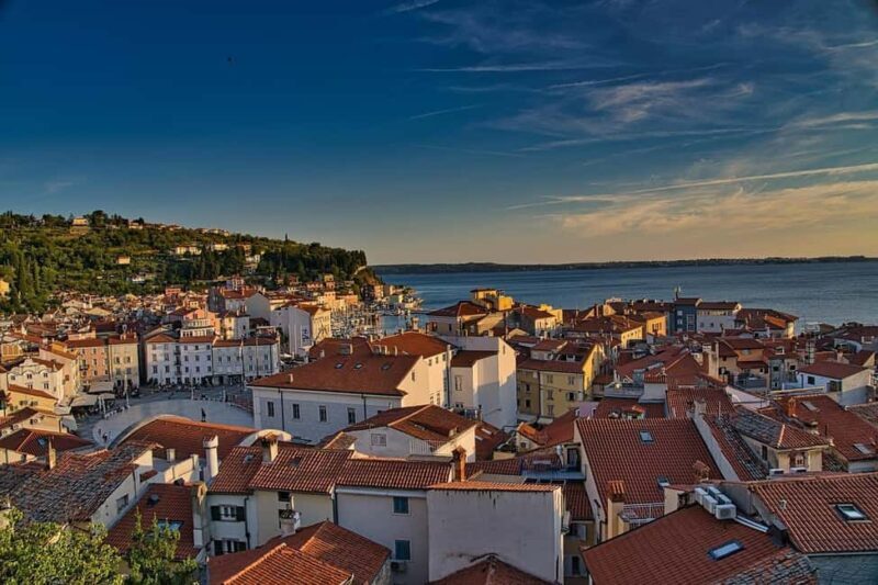 TRIESTE: Slovenian Coast Tour with Food and Wine Tasting - Key Points