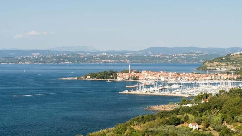 TRIESTE: Slovenian Coast Tour with Food and Wine Tasting - A gentle introduction to Slovenia’s coast from Trieste