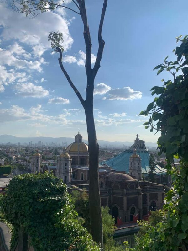 Trip through Teotihuacan, Basilica and Mezcal tasting. - Who Will Love This Tour?