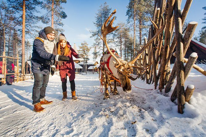 Trip to Arctic Circle, Santa Claus Village and Santas Reindeer - Who Should Consider This Tour?