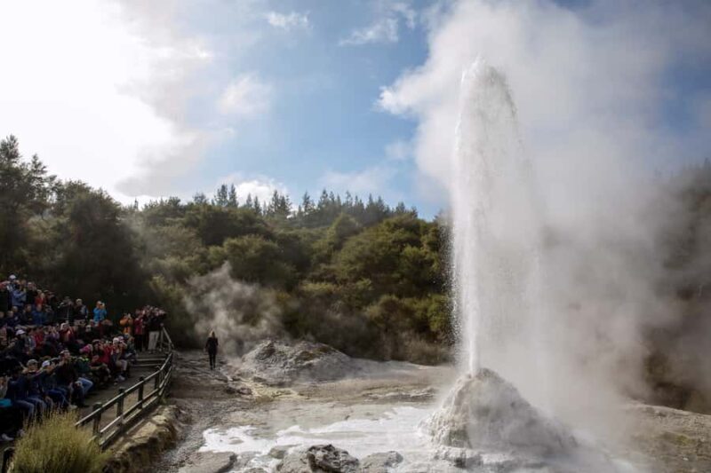 TRIPLE DEAL Wai-O-Tapu, Redwood & Blue Spring from Auckland - An In-Depth Look at the Tour Experience