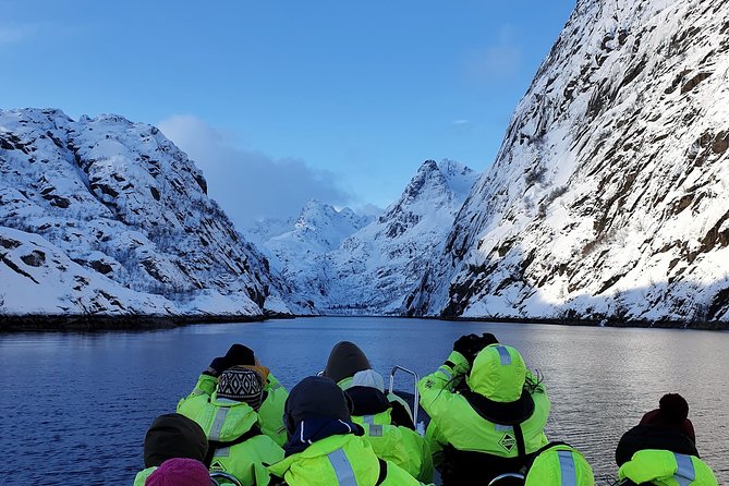Trollfjord and Sea Eagle Safari Tour from Svolvaer - Key Points