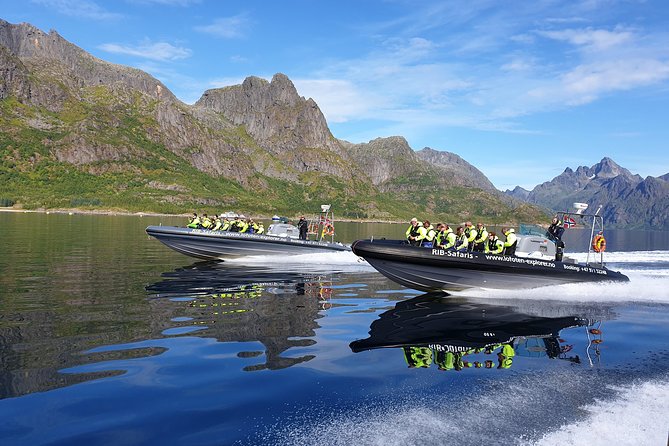 Trollfjord and Sea Eagle Safari Tour from Svolvaer - Tour Snapshot: What You’re Booking
