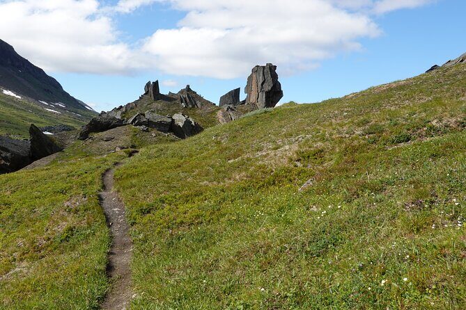 Trollsjön Guided Day Tour - The Practical Side: Price, Duration, and Logistics