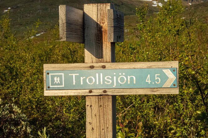 Trollsjön Guided Day Tour - Who Should Consider This Tour?
