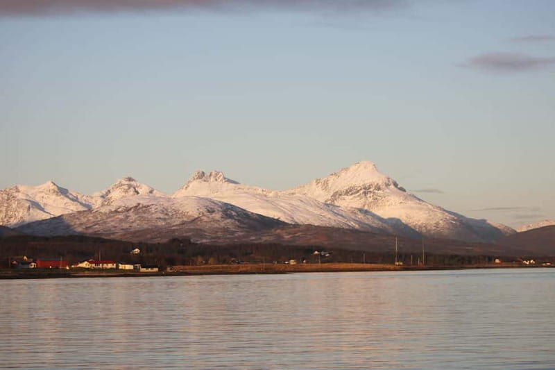 Tromsø: 2-Hour Island Tour Cruise with Snacks and Drinks - An Honest Look at the 2-Hour Tromsø Island Cruise