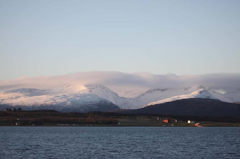 Tromsø: 2-Hour Island Tour Cruise with Snacks and Drinks - Final Thoughts