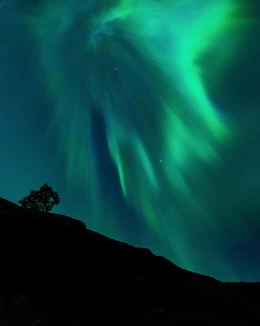 Tromsø: A Sámi Survival Story and Aurora Hunt - Tromsø: A Sámi Survival Story and Aurora Hunt — Honest Review