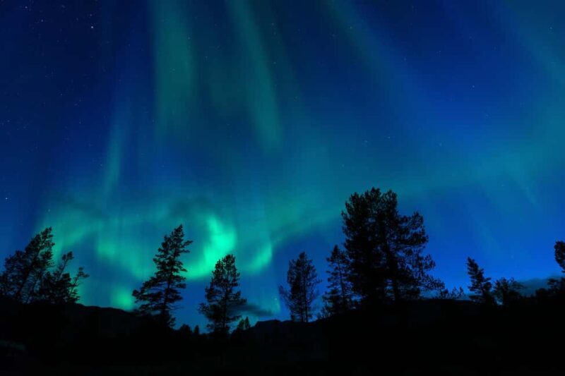 Tromsø: A Sámi Survival Story and Aurora Hunt - Real Experiences from Travelers