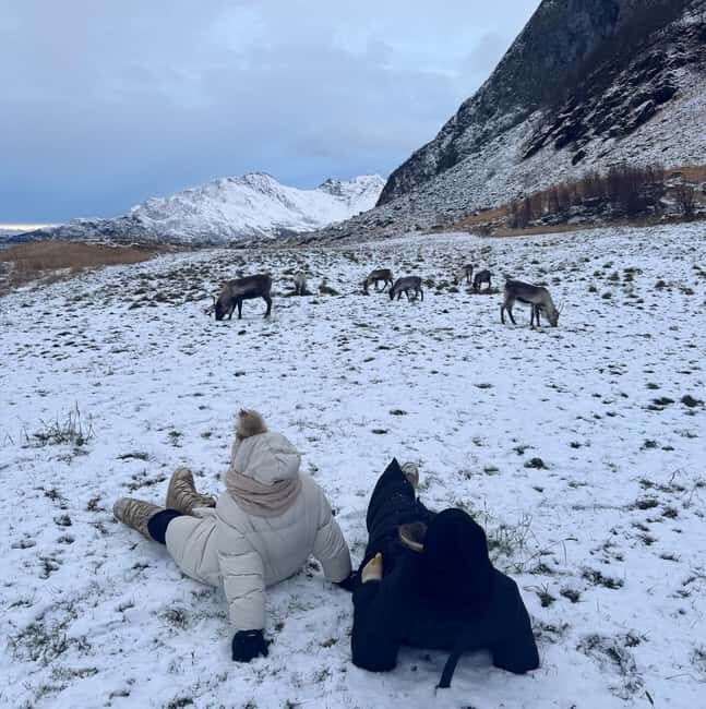 Tromsø: A Sámi Survival Story and Fjords Tour - Key Points