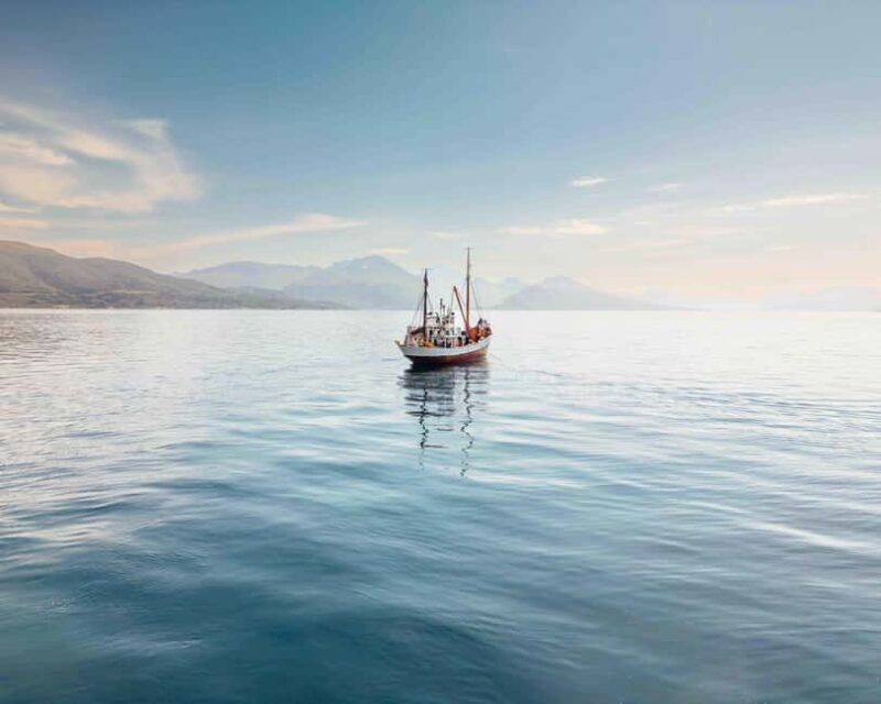 Tromsø: A Taste of Coastal Traditions - Fishing and Seafood Tasting