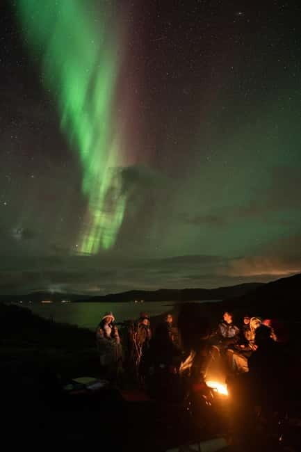 Tromsø: Adult Only Aurora hunt with Citizen Science - Key Points