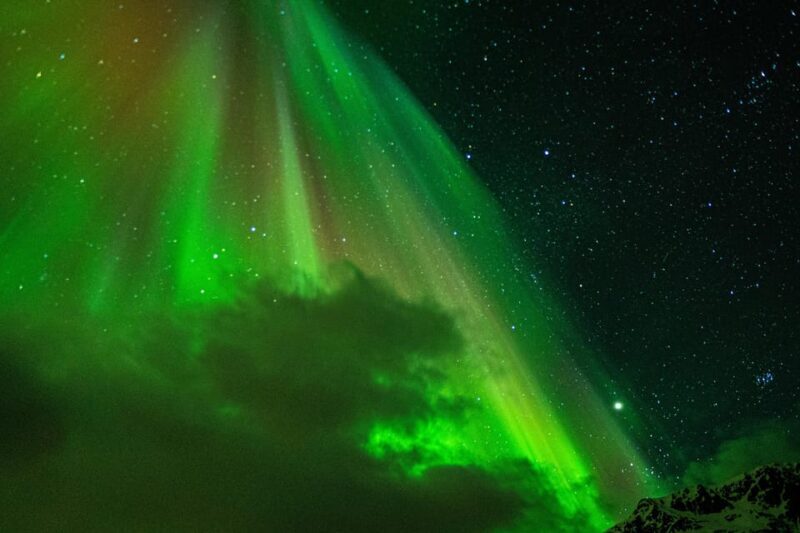 Tromsø Adventurous Northern Lights Small-Group - Wrapping It Up