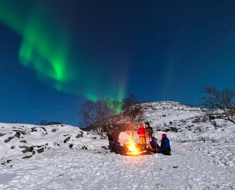 Tromsø: All-Inclusive Northern Lights Hunt - Who Should Consider This Tour?