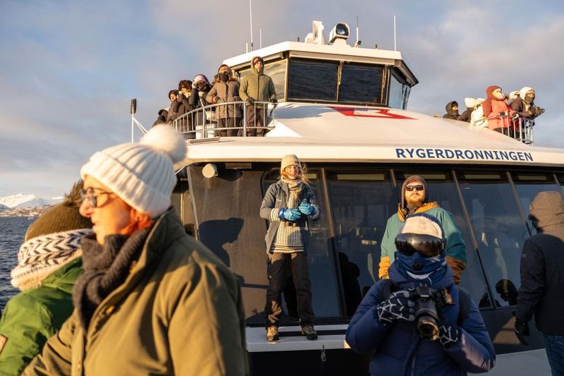 Tromsø: Arctic Fjord Cruise in Polar Landscapes - Tromsø fjords by catamaran: what this cruise feels like
