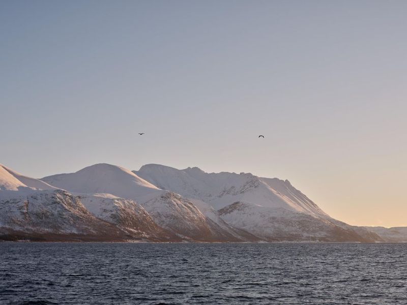 Tromsø: Arctic Fjord Cruise in Polar Landscapes - The main route: islands, villages, and snowy mountain views