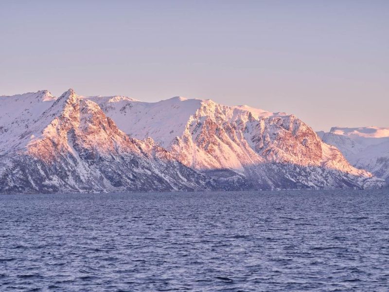 Tromsø: Arctic Fjord Cruise in Polar Landscapes - Wildlife spotting that feels doable (not fantasy)