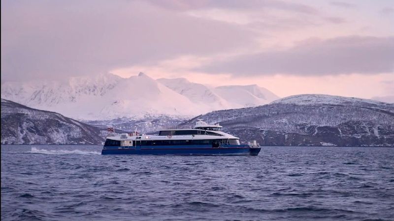 Tromsø: Arctic Fjord Cruise in Polar Landscapes - Warm drinks and local treats: what you’ll actually eat