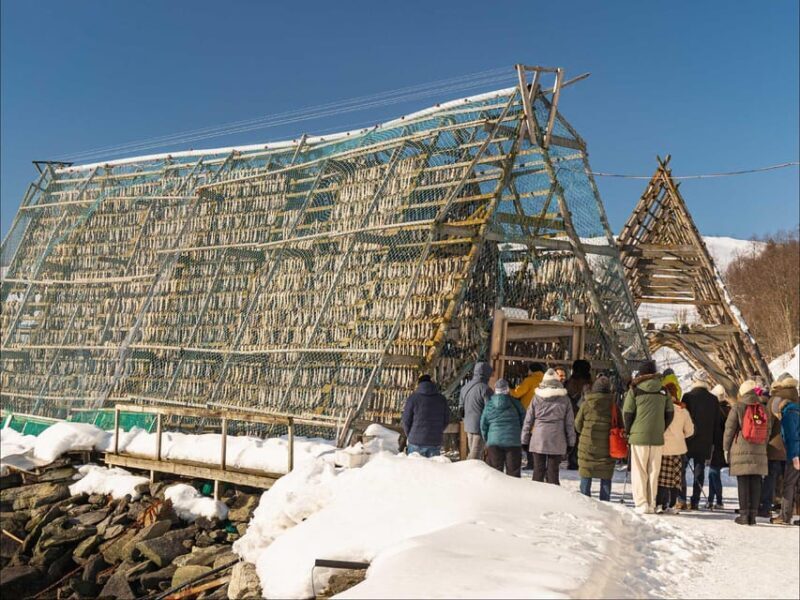 Tromsø: Arctic Fjord Cruise With Stop On Land At Fish Racks - What Is This Tour All About?