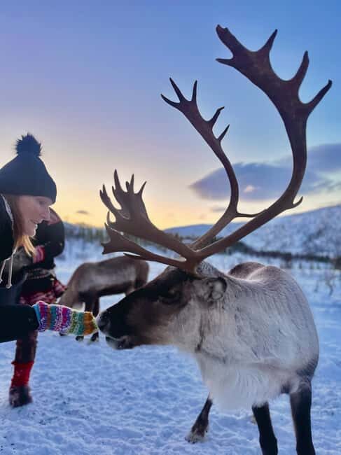 Tromsø: Arctic fjord sightseeing, Reindeer feeding and lunch - Practical Tips and Considerations